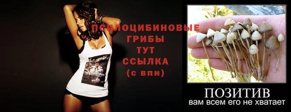 мяу мяу мука Богородицк