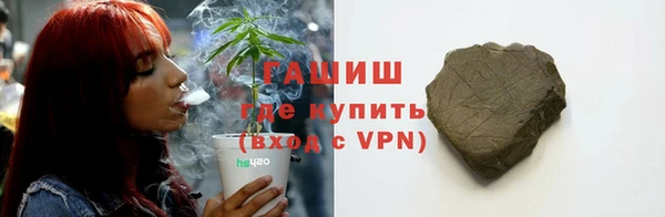 метадон Богданович