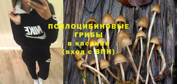 метадон Богданович