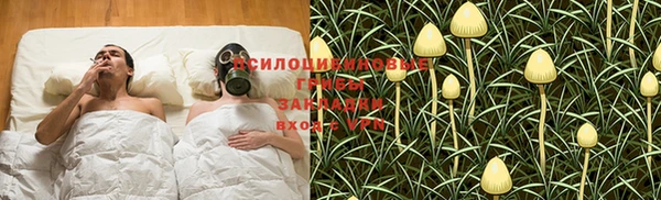 COCAINE Белокуриха