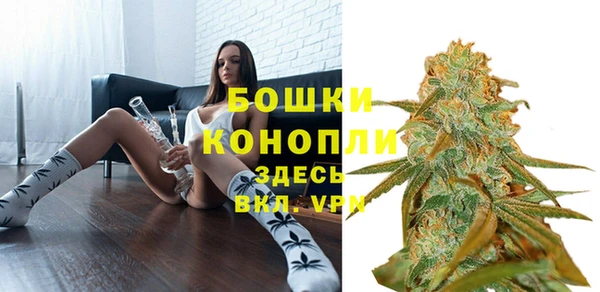 метадон Богданович