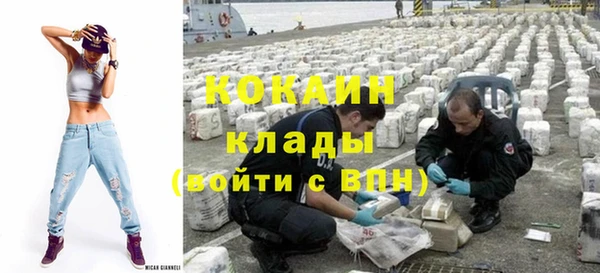 метадон Богданович