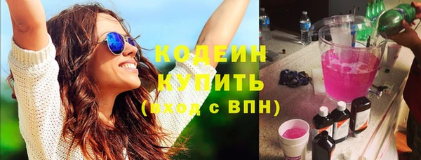 метадон Богданович